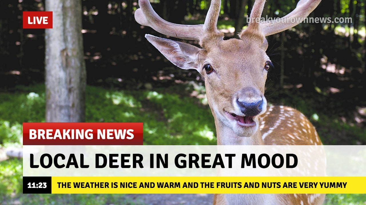 Milwaukee Bucks Make A Deal