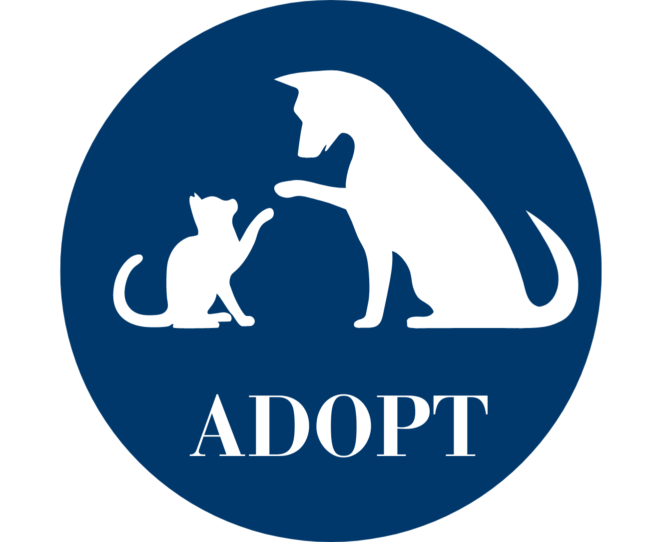 My Thoughts Adopting Animals/Pets & Adopting An Older Companion – They May Be Your Perfect Fit